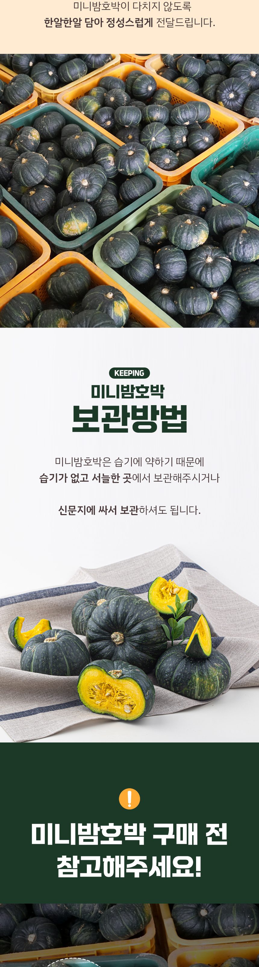 산지직송 제주 미니 밤호박 프리미엄 보우짱 상세 이미지 6