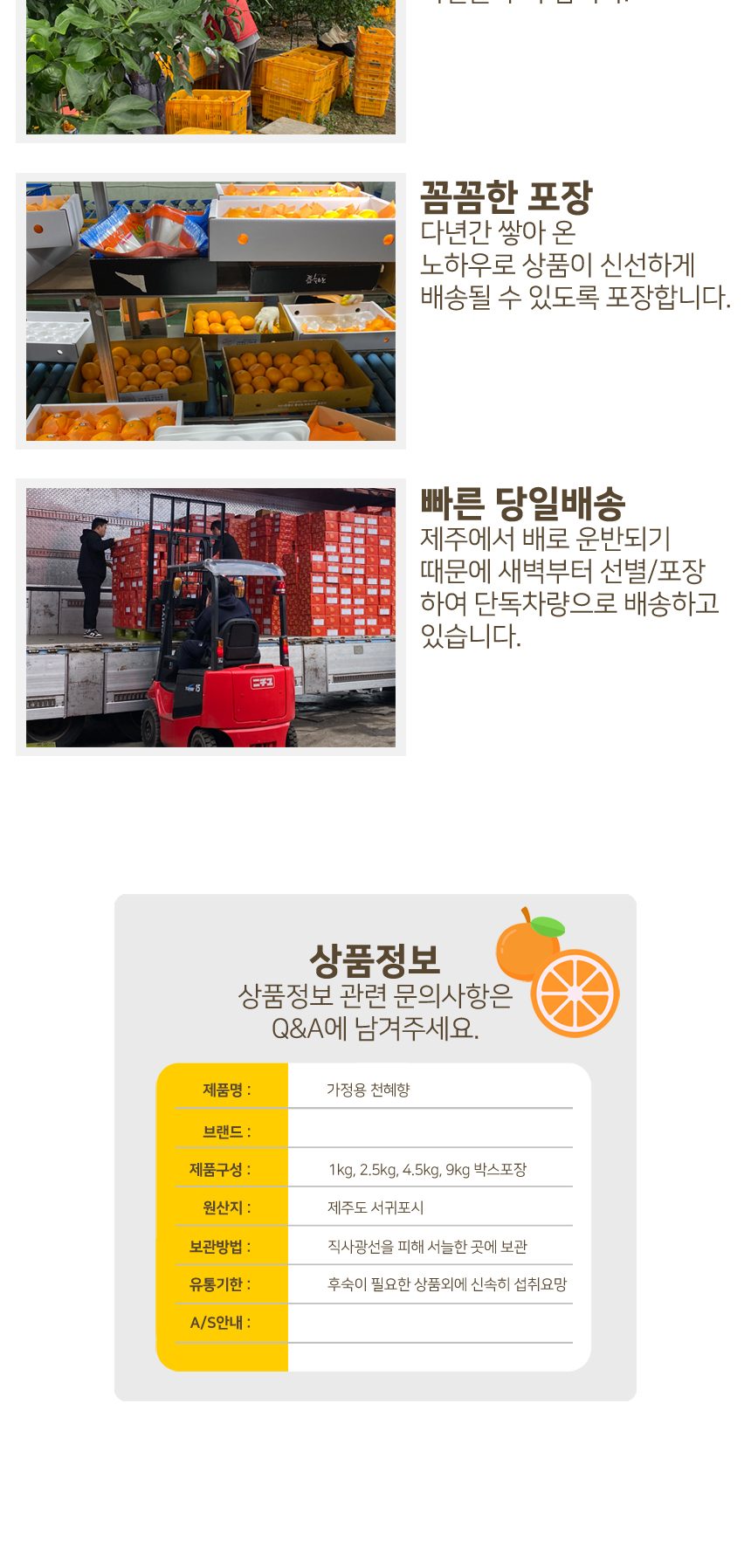 천혜향 제주 고당도 산지직송 가정용 3kg 5kg 상세 이미지 3