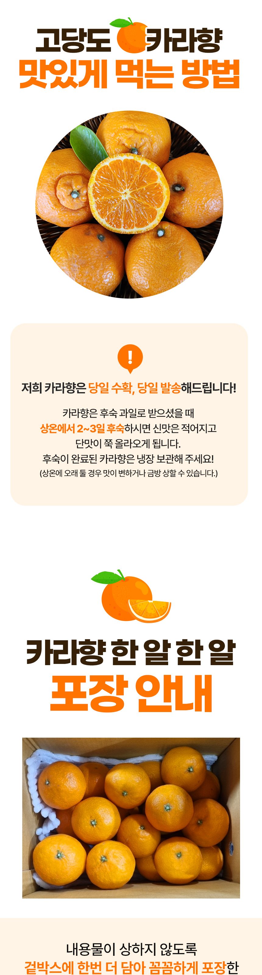 제주 고당도 카라향 꽃귤 하우스 감귤 산지직송 로얄과 상세 이미지 6