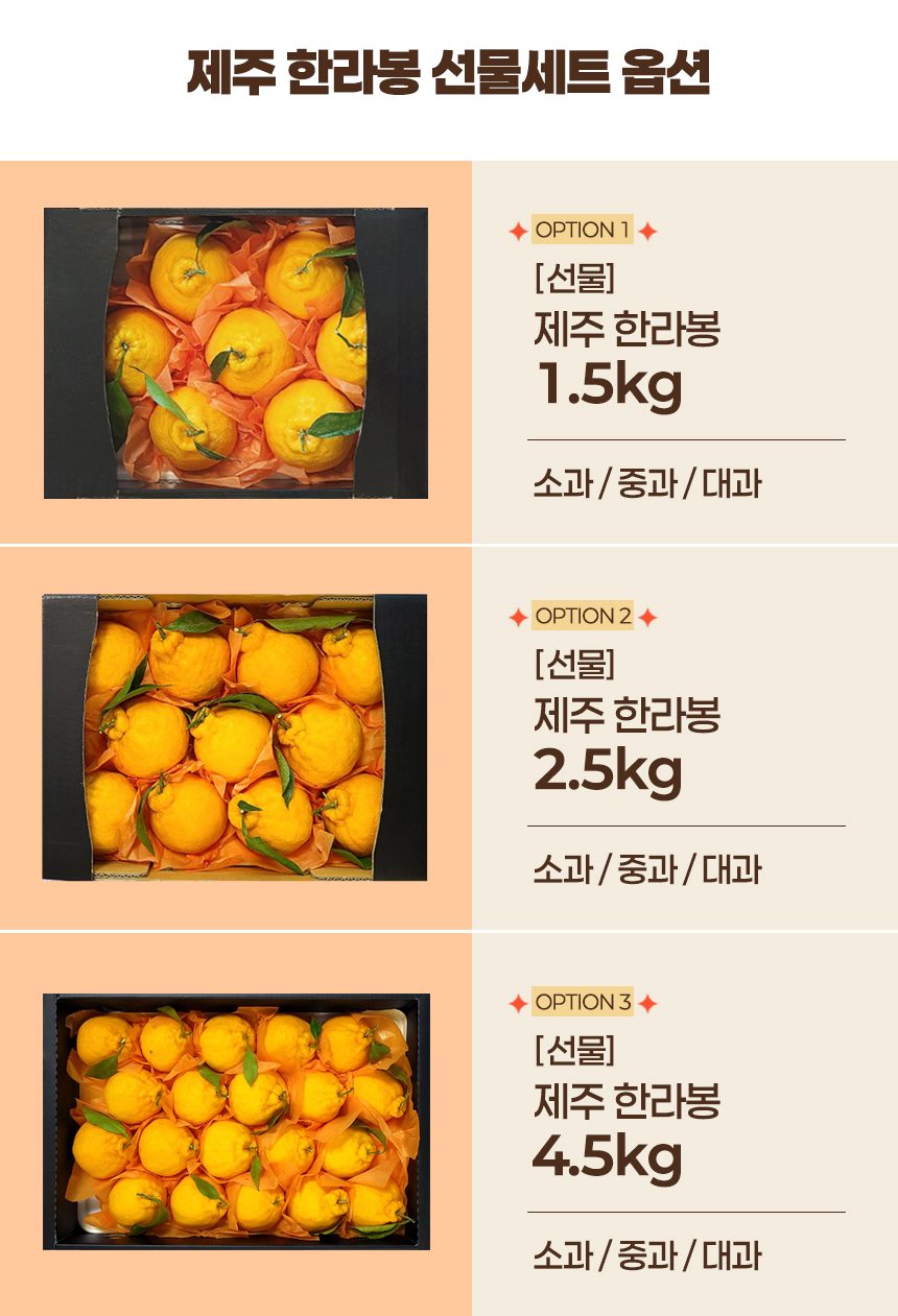 프리미엄 제주 고당도 한라봉 과일선물세트 산지직송 상세 이미지 2