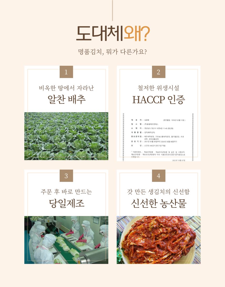 맛있는 경상도식 매운 배추김치 국산배추 주문 시 생산 (한입크기 맛김치) 상세 이미지 1