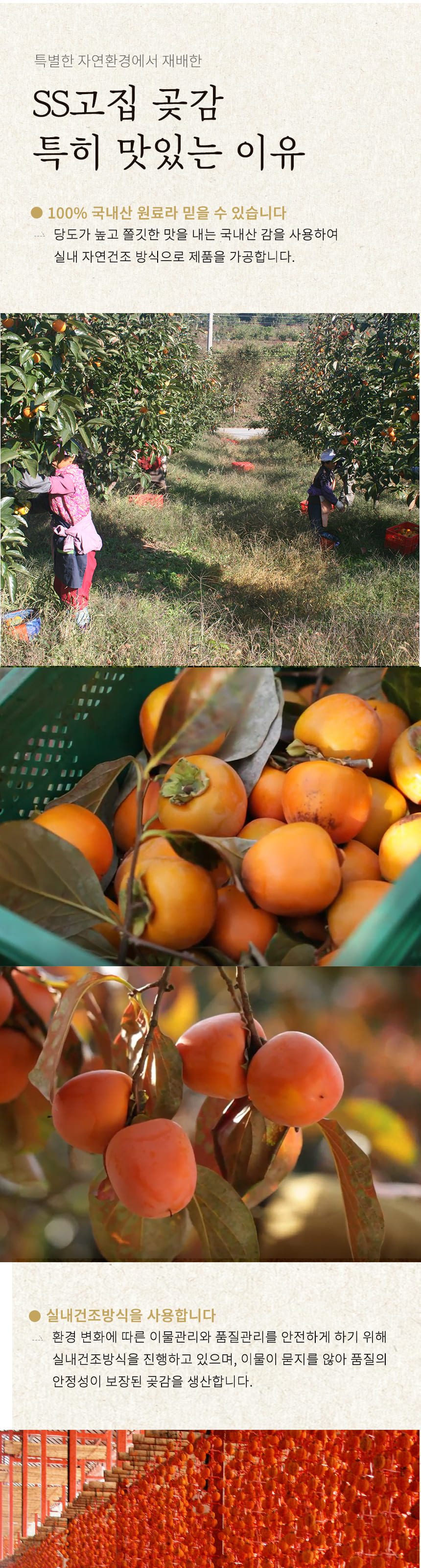 영동 반건시 곶감 전통 간식 프리미엄 가정용 상세 이미지 2