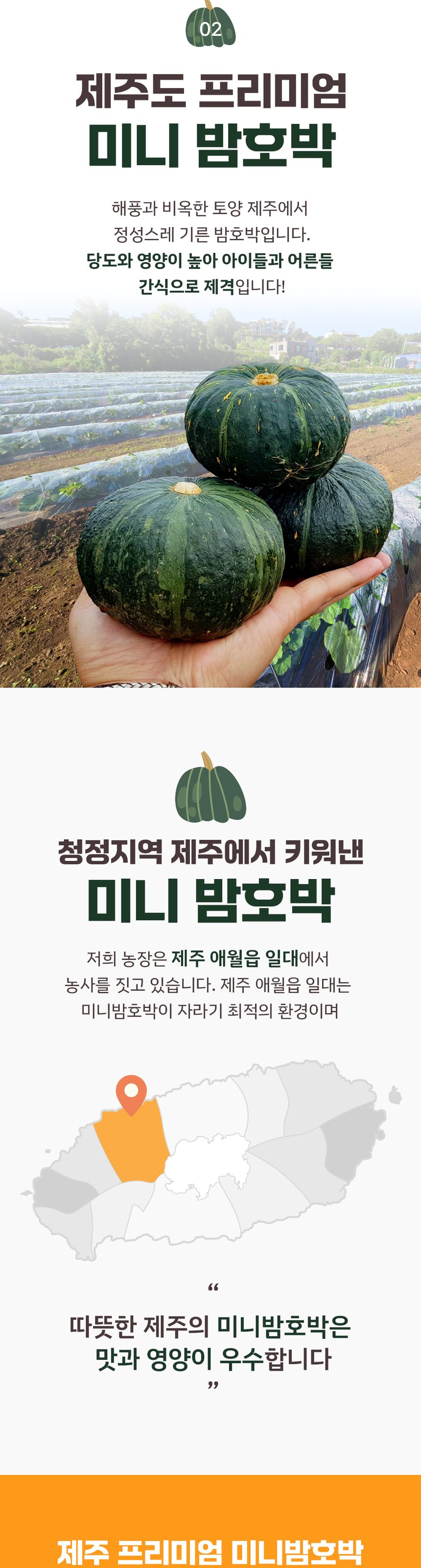 산지직송 제주 미니 밤호박 프리미엄 보우짱 상세 이미지 4