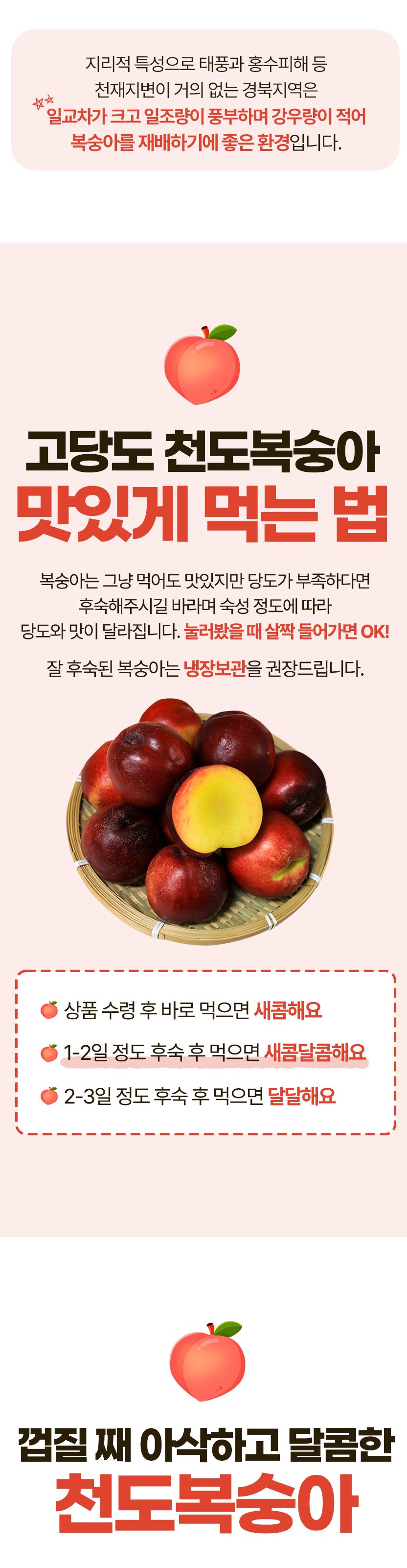 고품위 천도복숭아 산지직송 오월도, 홍광, 신선, 썬프레, 레드골드 복숭아 3kg 상세 이미지 2