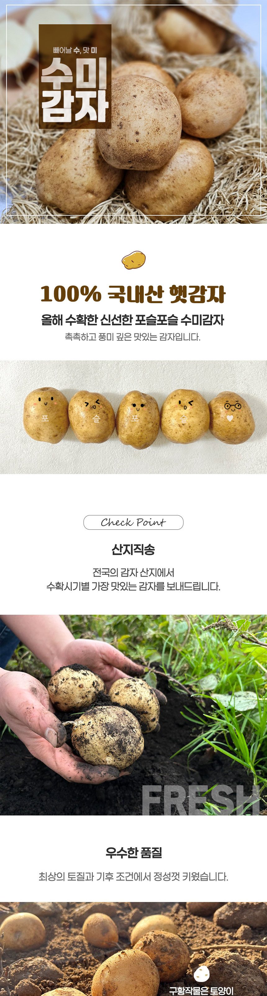 강원도 수미 감자 햇감자 (대) 상세 이미지 1