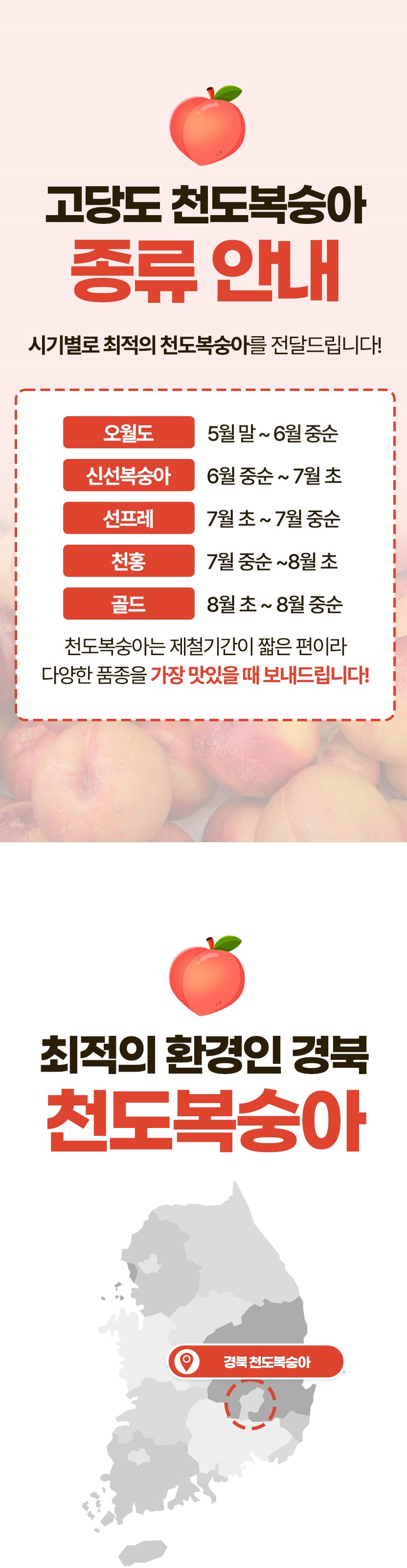 고품위 천도복숭아 산지직송 오월도, 홍광, 신선, 썬프레, 레드골드 복숭아 3kg 상세 이미지 1