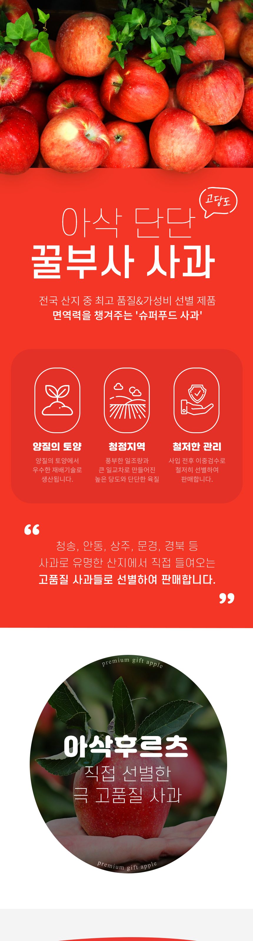 고품위 경북 부사사과 고당도 산지직송 상세 이미지 1