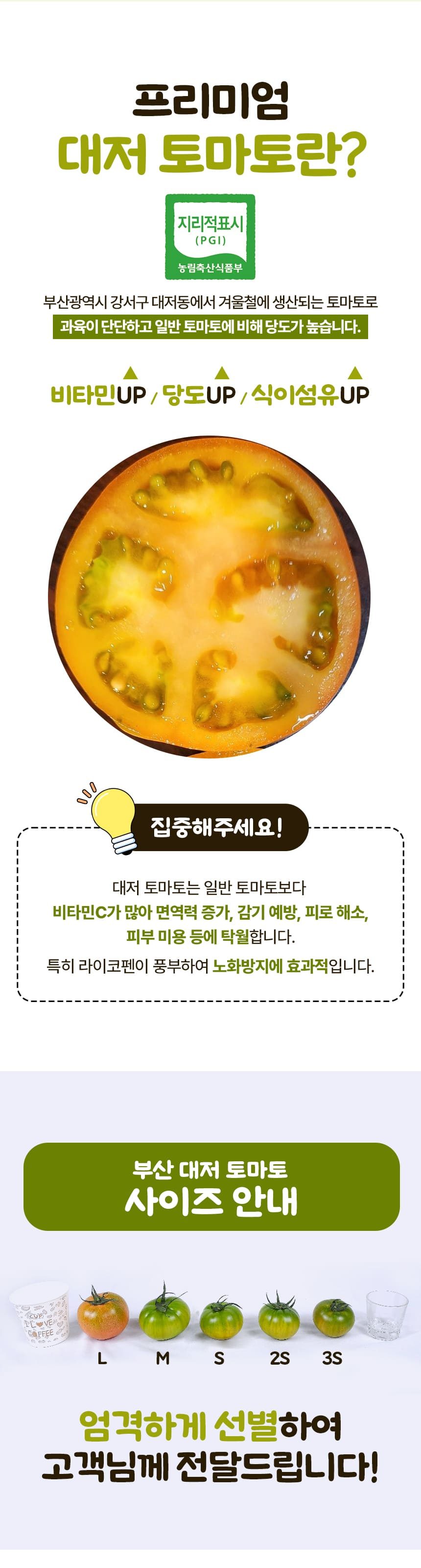 고당도 대저 짭짤이 토마토 특품 상세 이미지 2