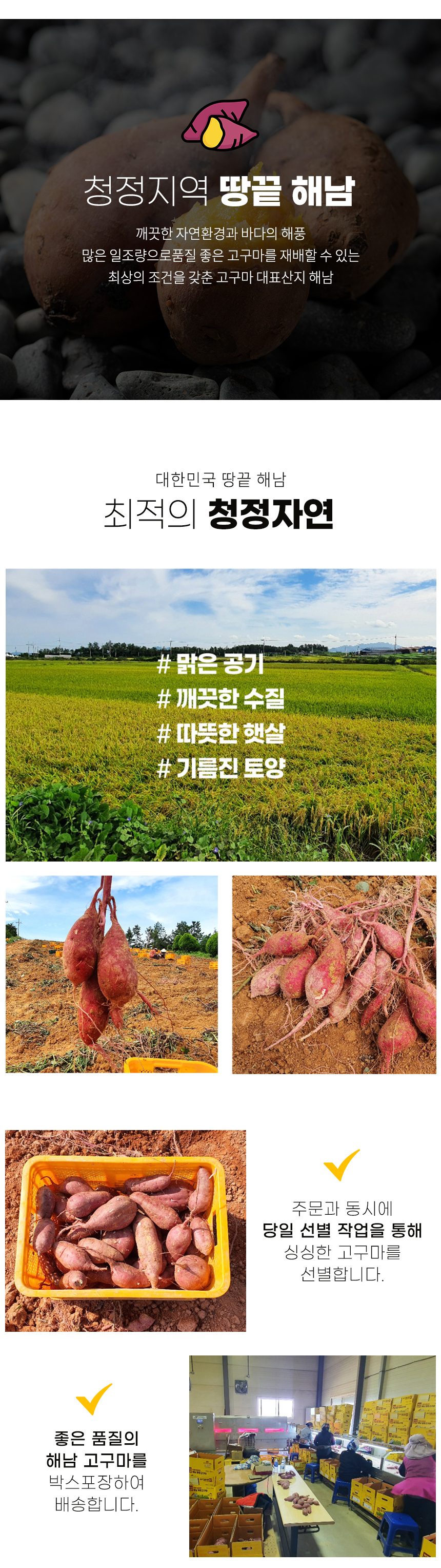 해남 베니하루카 꿀고구마 품질보장 상세 이미지 7