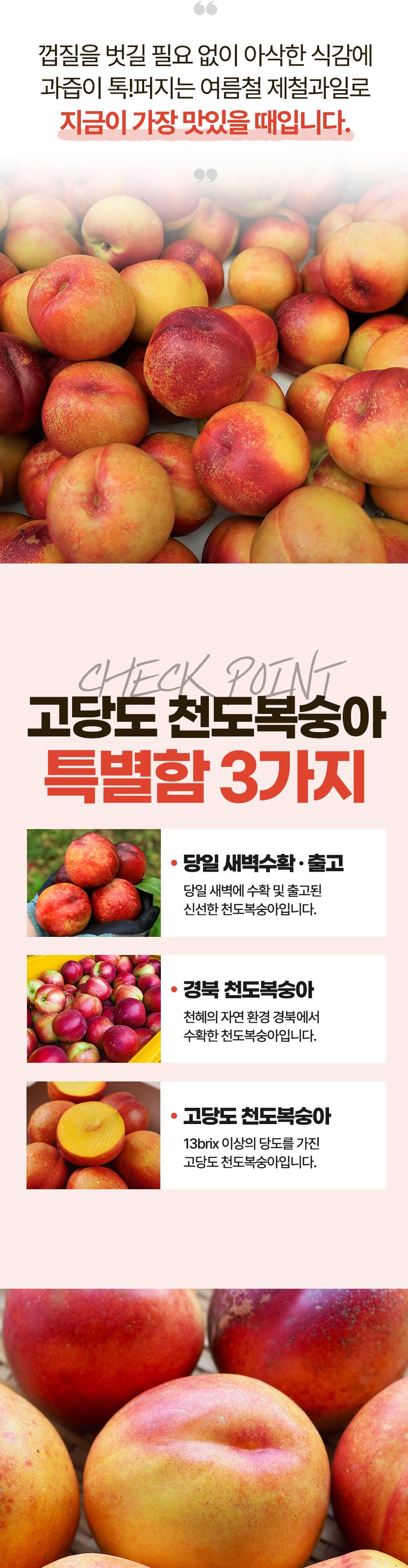 고품위 천도복숭아 산지직송 오월도, 홍광, 신선, 썬프레, 레드골드 복숭아 3kg 상세 이미지 3