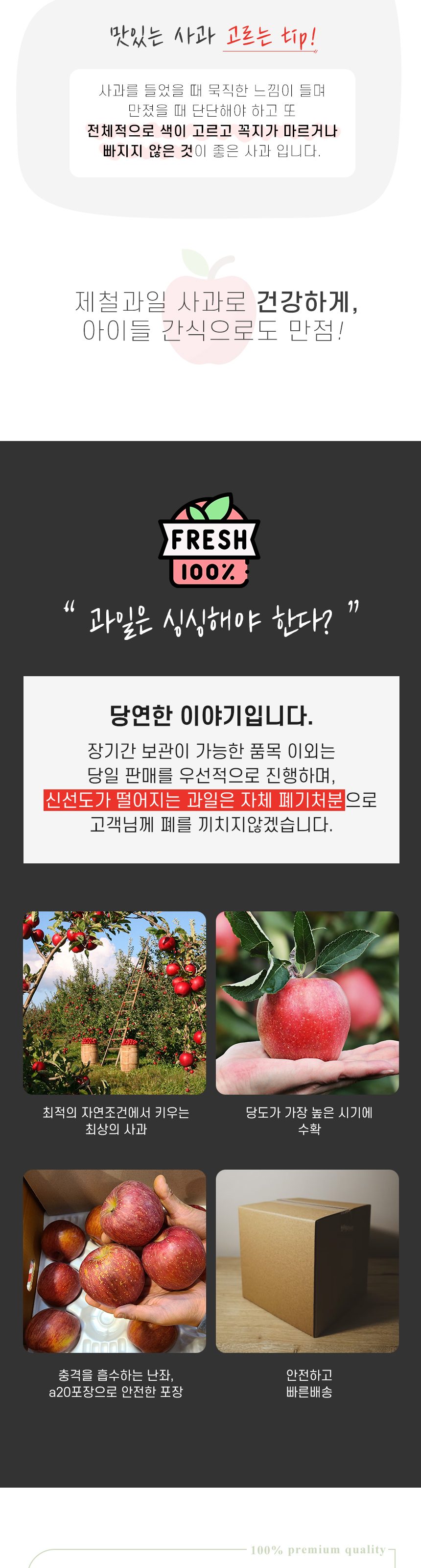 고품위 경북 부사사과 고당도 산지직송 상세 이미지 6