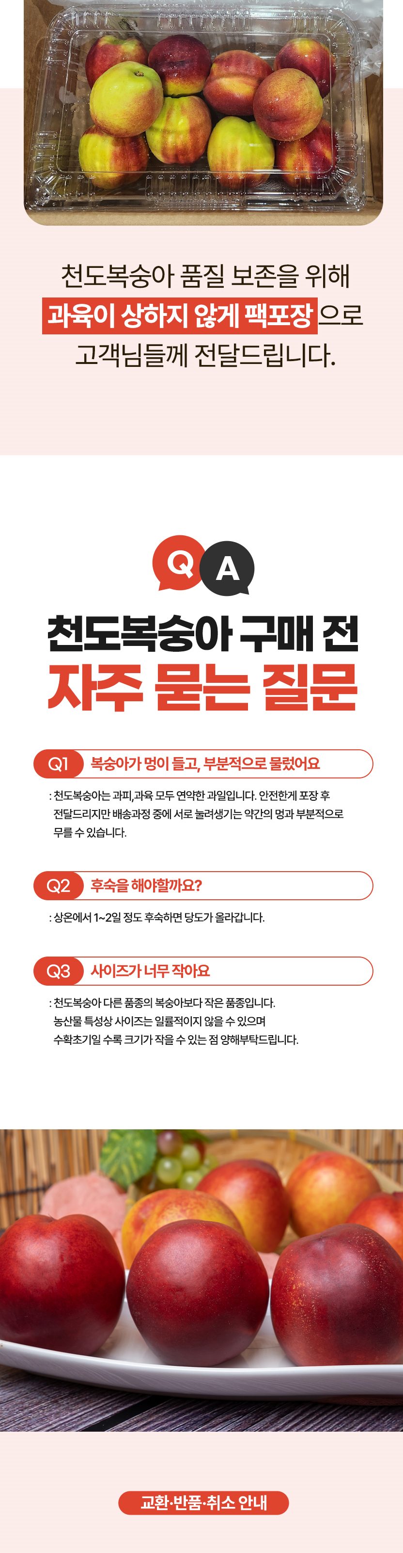 고품위 천도복숭아 산지직송 오월도, 홍광, 신선, 썬프레, 레드골드 복숭아 3kg 상세 이미지 5