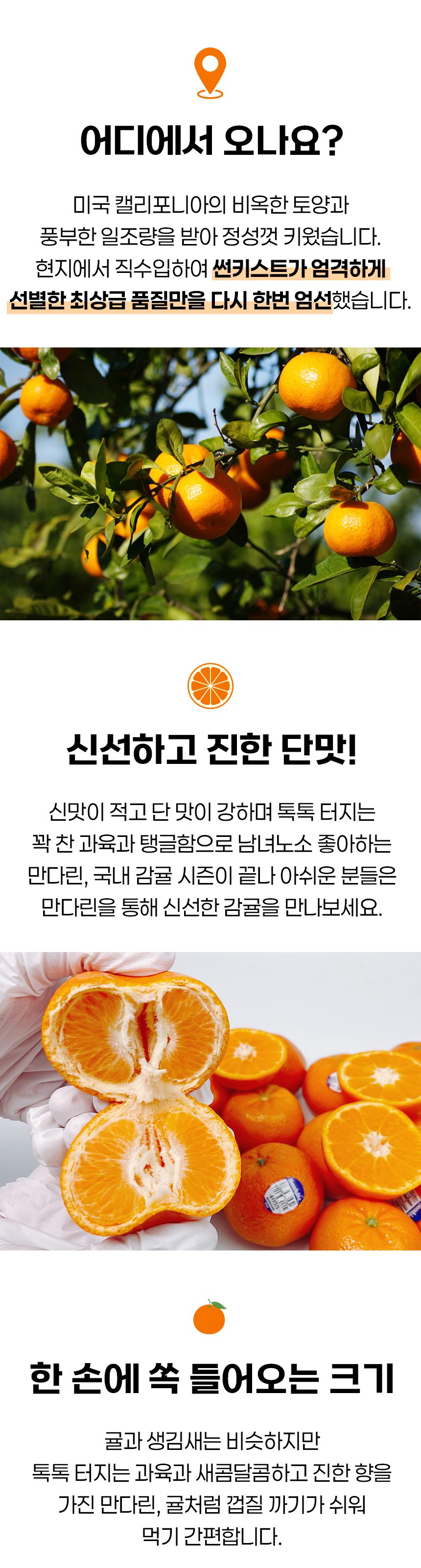 만다린 썬키스트 큐티 미국 감귤 고당도 14brix 상세 이미지 3