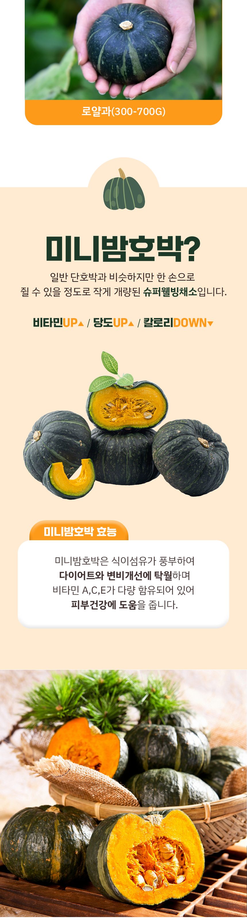산지직송 제주 미니 밤호박 프리미엄 보우짱 상세 이미지 2