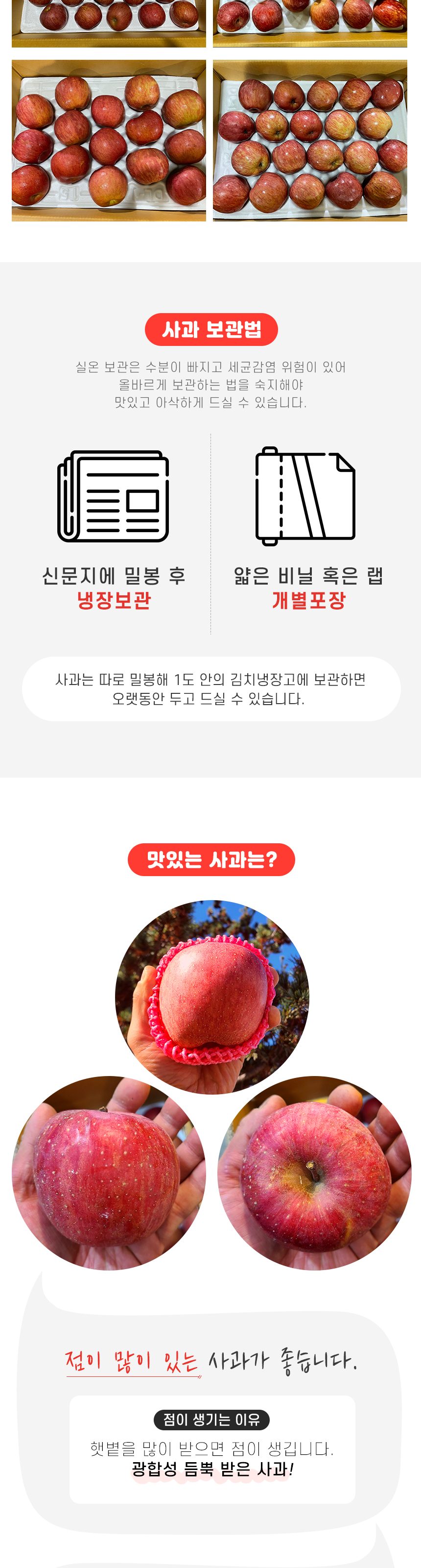 고품위 경북 부사사과 고당도 산지직송 상세 이미지 5