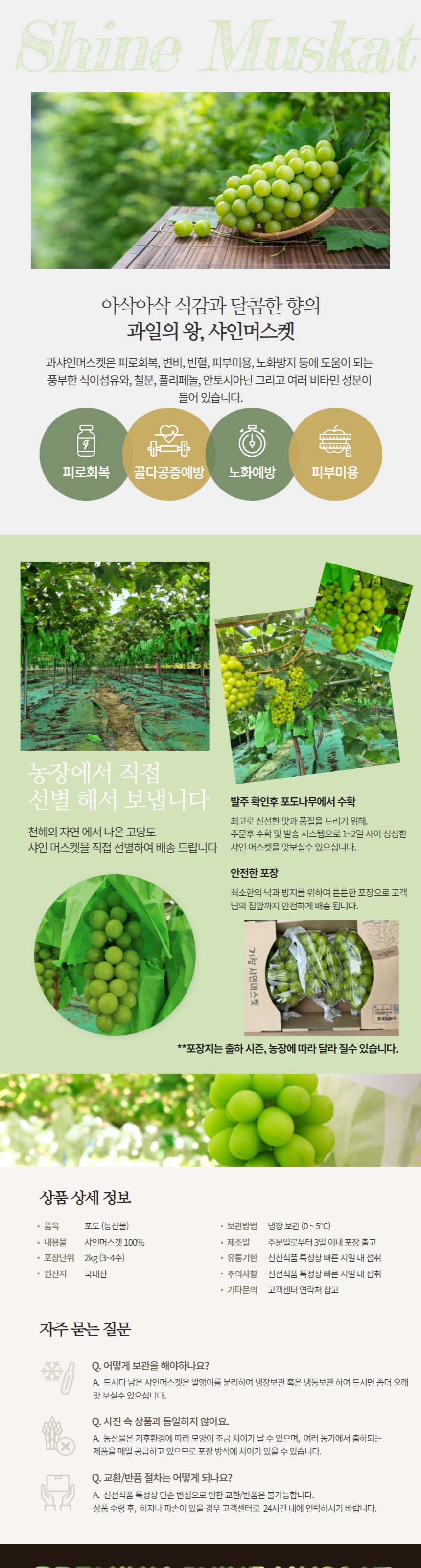 일품 샤인머스켓 과일선물세트 국내산 경북 고당도 750g~800g (3수) 상세 이미지 2