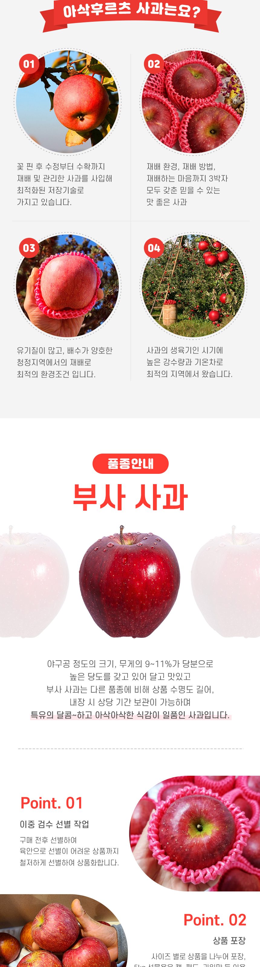고품위 경북 부사사과 고당도 산지직송 상세 이미지 2