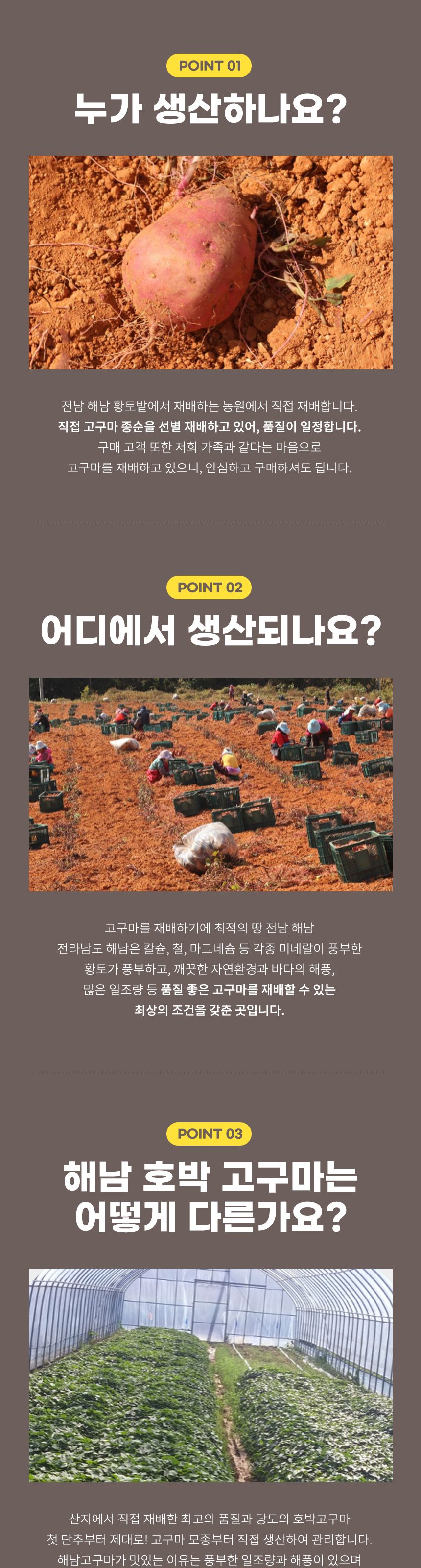 해남 베니하루카 꿀고구마 품질보장 상세 이미지 9