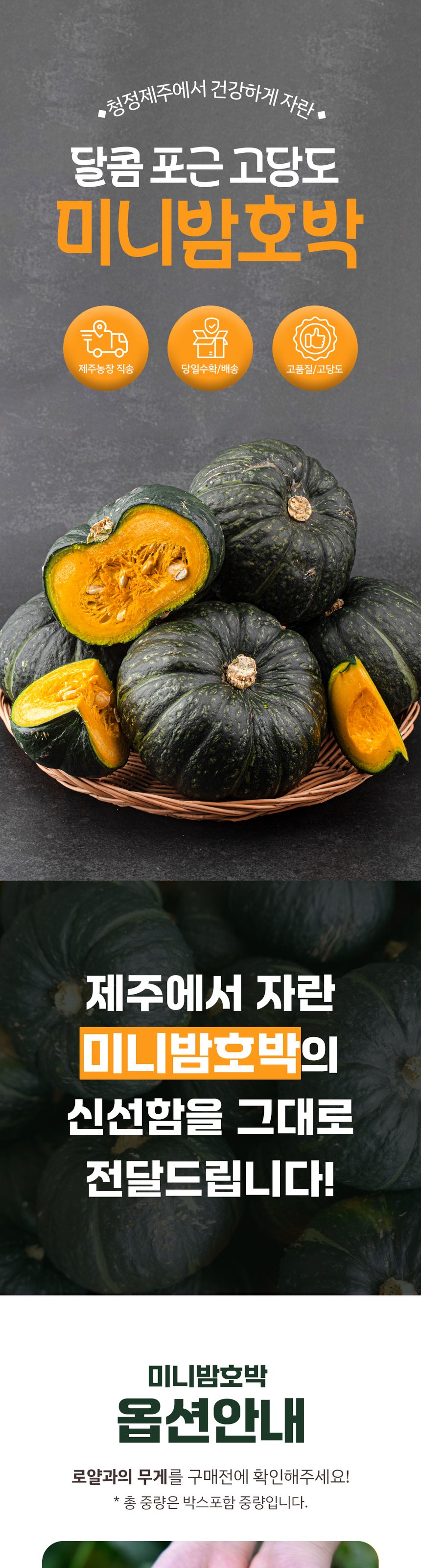 산지직송 제주 미니 밤호박 프리미엄 보우짱 상세 이미지 1