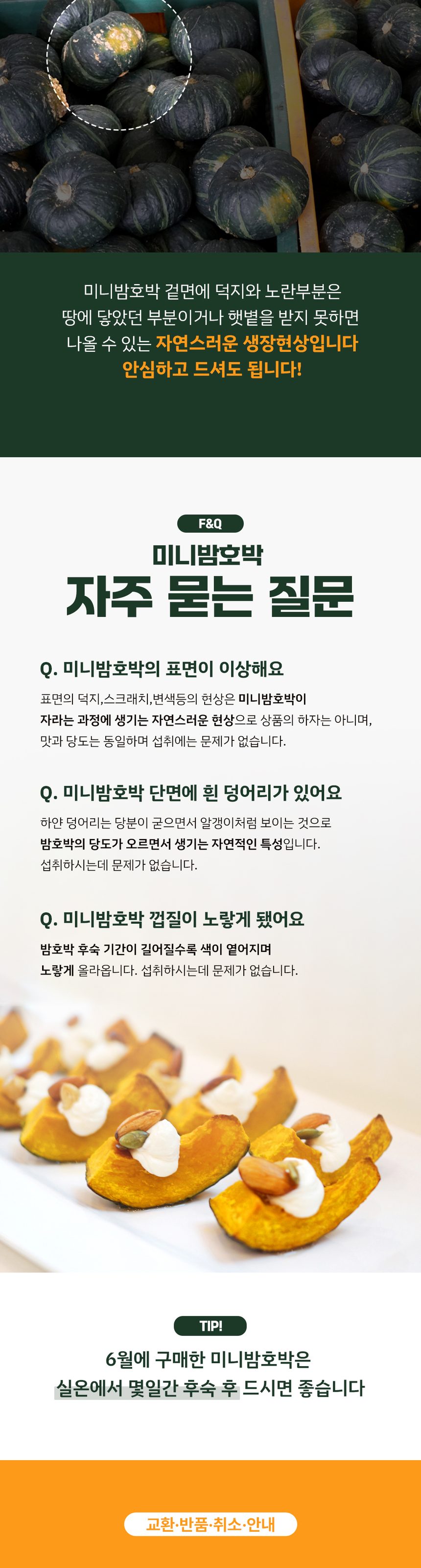 산지직송 제주 미니 밤호박 프리미엄 보우짱 상세 이미지 7