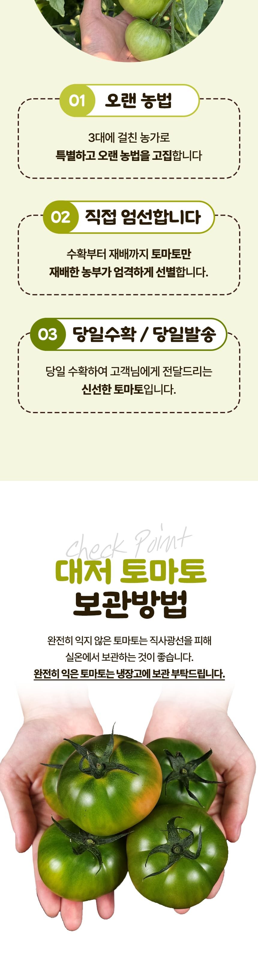 고당도 대저 짭짤이 토마토 특품 상세 이미지 6