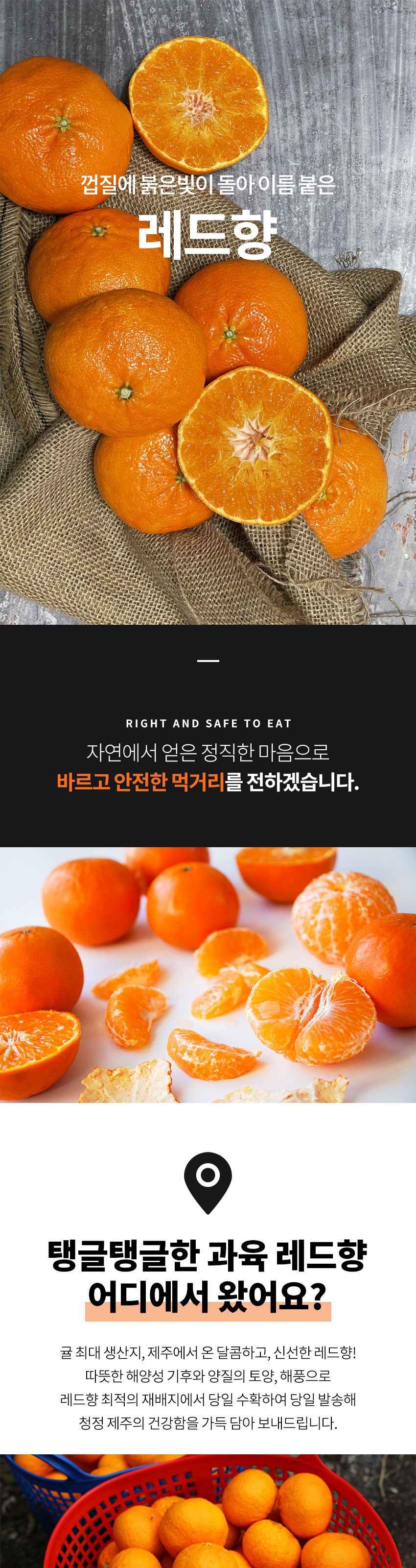 프리미엄 제주 레드향 신선 산지직송 초고당도 14brix이상 상세 이미지 1