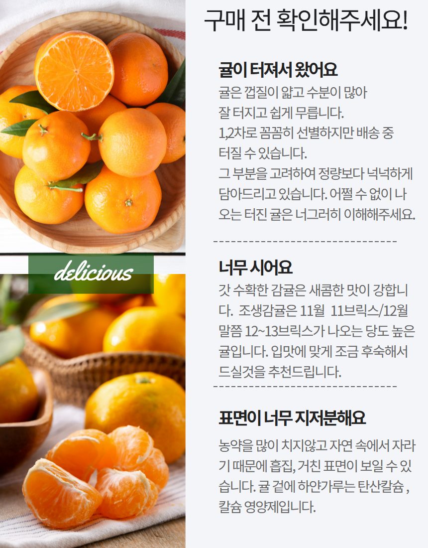 제주 서귀포 초고당도 조생감귤 산지직송 최대16브릭스 품질보장 상세 이미지 7
