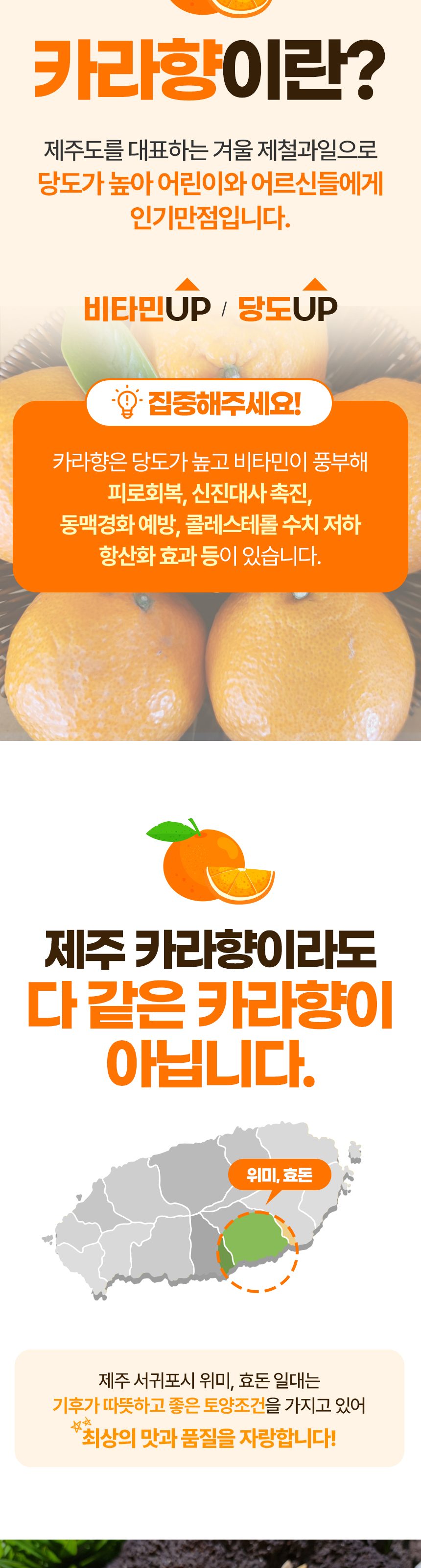 제주 고당도 카라향 꽃귤 하우스 감귤 산지직송 로얄과 상세 이미지 2
